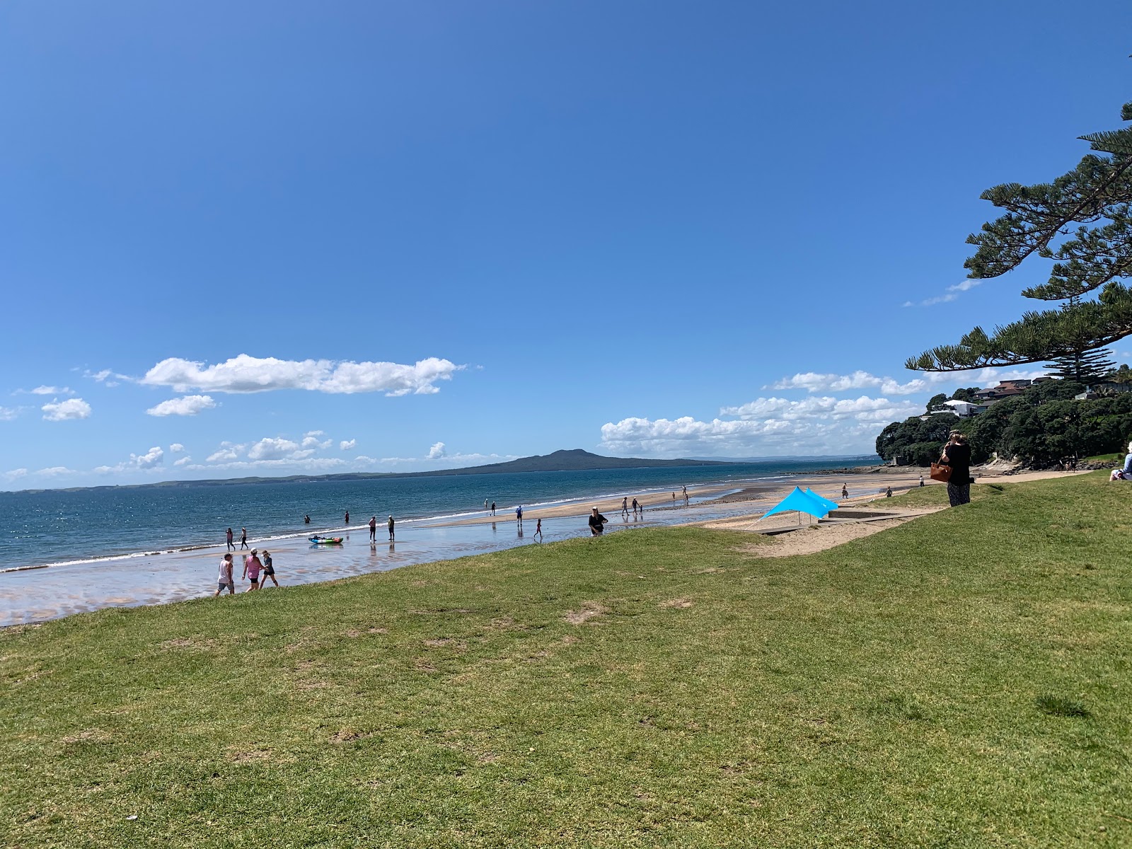 Mairangi Bay Beach'in fotoğrafı geniş plaj ile birlikte
