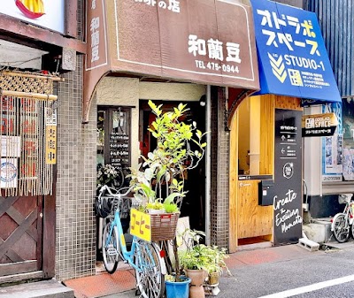 和蘭豆