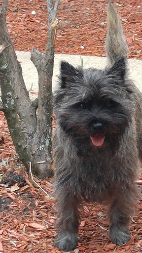 Pet Supply Store «Pet Supplies Plus», reviews and photos, 9143 Little Rd, New Port Richey, FL 34654, USA