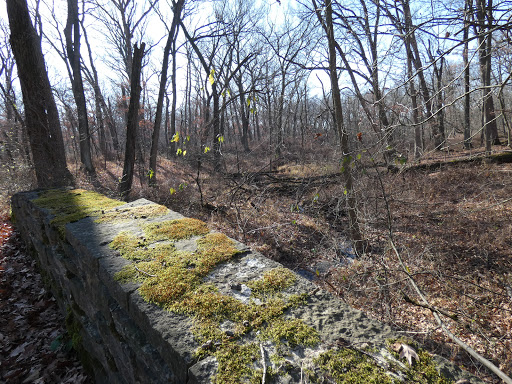 Nature Preserve «Jurgensen Woods Nature Preserve», reviews and photos, 183rd St, Lansing, IL 60438, USA