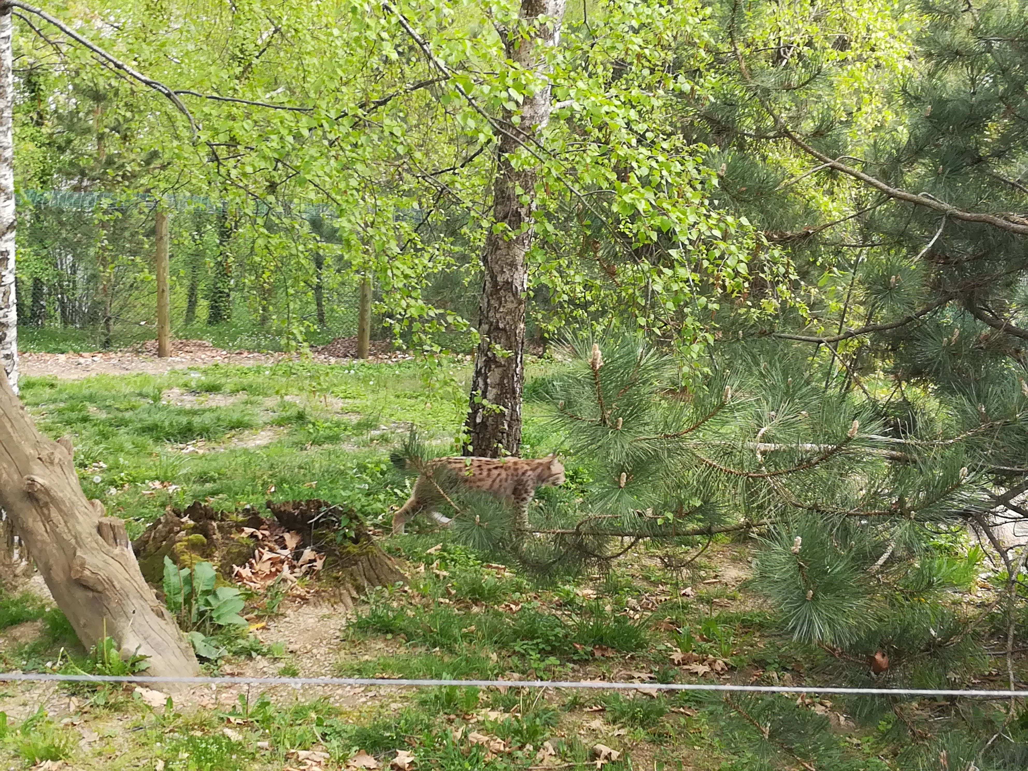 Photo n° 17 de l'avis de Sarah.L fait le 21/04/2018 à 18:44