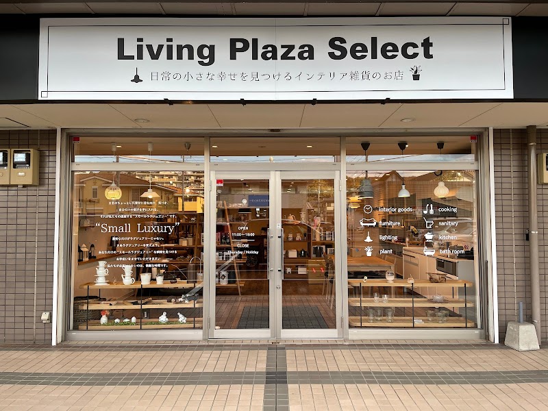 Living Plaza Store