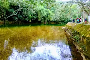 Balneario Rio Jatate image