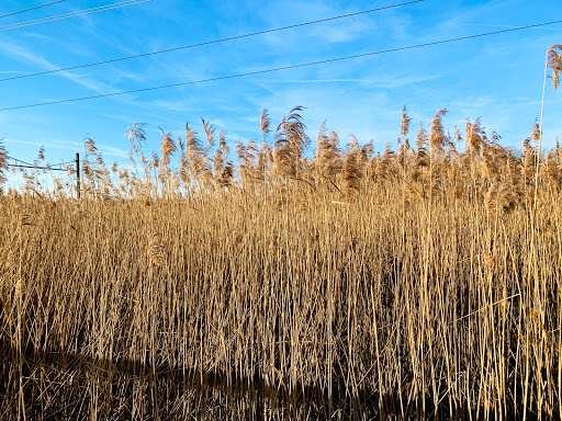 Nature Preserve «DuPont Environmental Education Center of Delaware Nature Society», reviews and photos, 1400 Delmarva Ln, Wilmington, DE 19801, USA