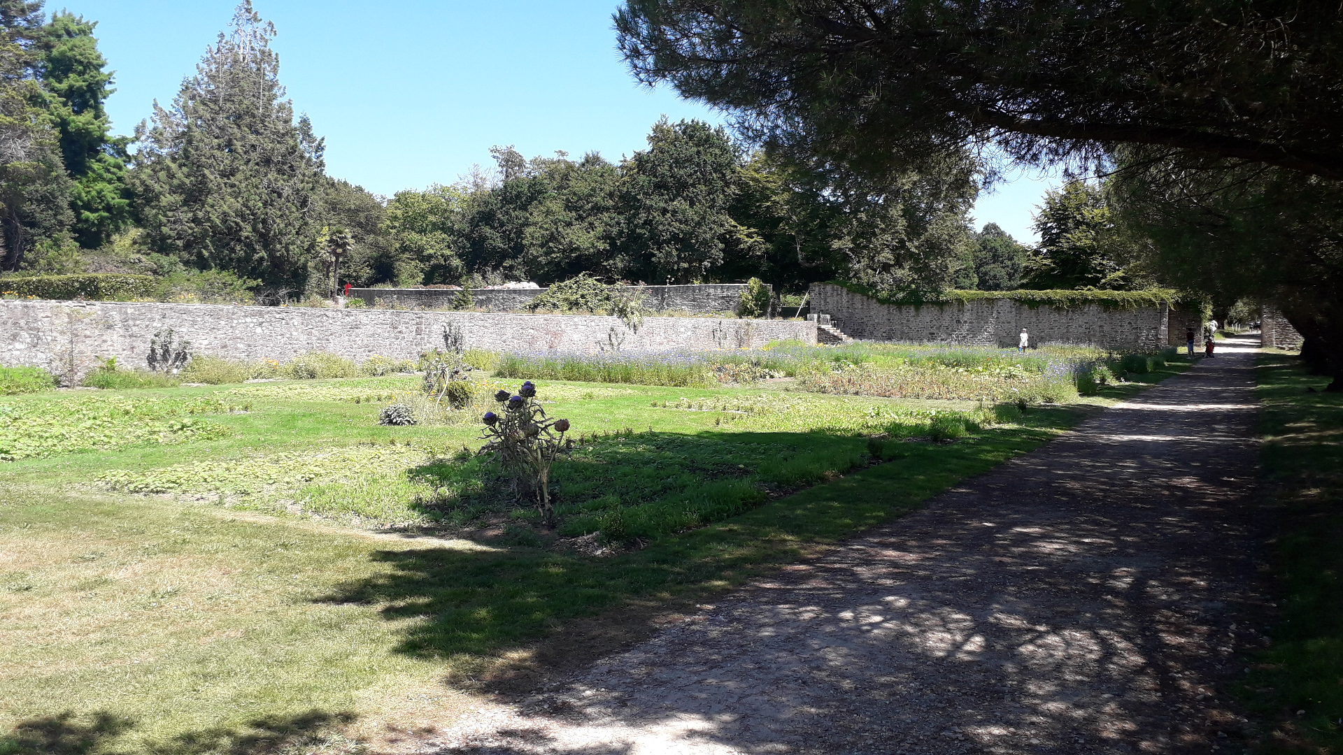 Photo n° 1 de l'avis de Pierre.E fait le 21/07/2020 à 13:01