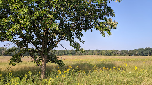 Nature Preserve «Shoe Factory Road Prairie Nature Preserve», reviews and photos, Shoe Factory Rd, Hoffman Estates, IL 60192, USA