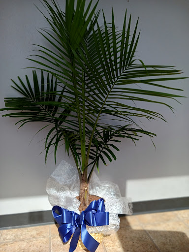 Florist «Treasures To Adore», reviews and photos, 1313 Carolyn Ct, Humble, TX 77338, USA