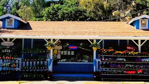 Mountain Feed & Nursery