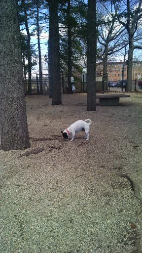 Park «Union Street Dog Park», reviews and photos, 59 Fair St, New Haven, CT 06511, USA