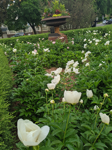 Park «Lowry Park», reviews and photos, 900 Douglas Ave, Minneapolis, MN 55403, USA