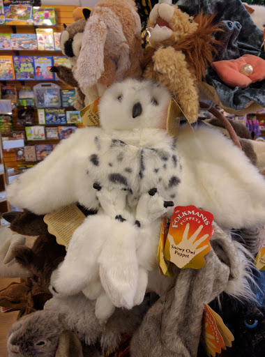 Toy Store «Genuine Toy Co.», reviews and photos, 550 Forest Ave Suite 8, Plymouth, MI 48170, USA