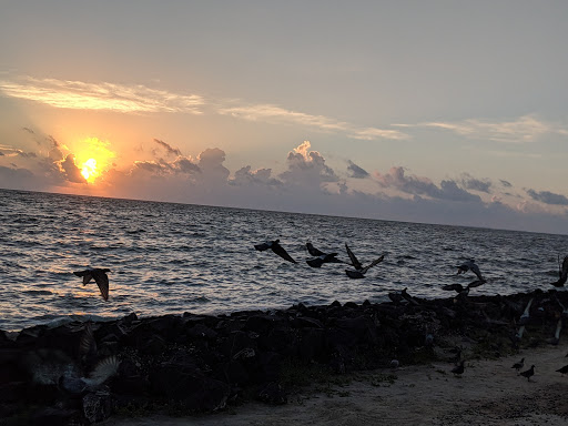 Amphitheater «Cole Park Amphitheater», reviews and photos, 1526 Ocean Dr, Corpus Christi, TX 78404, USA