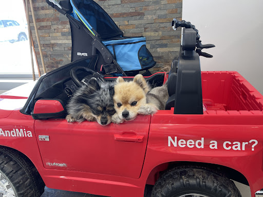 Car Dealer «Vanderstyne Toyota», reviews and photos, 4374 W Ridge Rd, Rochester, NY 14626, USA