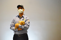 NEW YORK EXTERMINATING INC. - Photo 3 - Car repair in Brooklyn, NY, Brooklyn