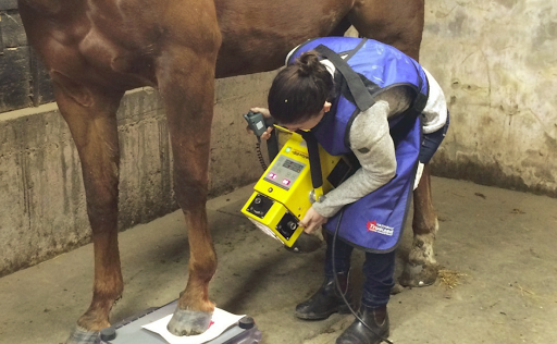 Henderson Equine Services image