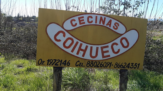 Cecinas Coihueco - Tienda de ultramarinos