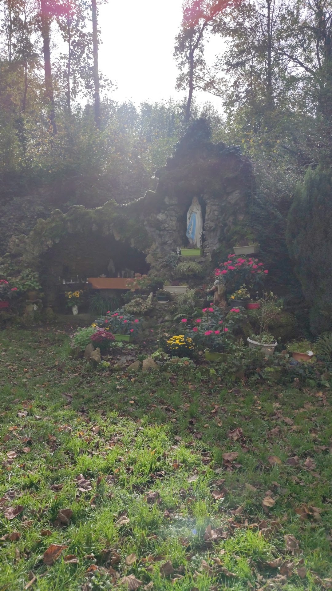 Photo n° 1 de l'avis de Bernard.a fait le 30/10/2022 à 12:14