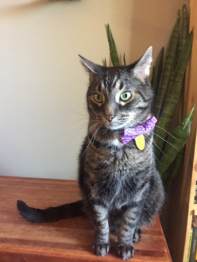 2121 N Sherman Ave, Madison, WI 53704, USA