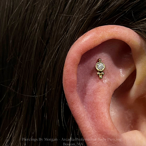 Explore seahawks tattoo ideas, creative tattoo ideas in Boston, available at Arcadia Body Piercing