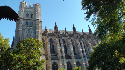 Performing Arts Theater «Apollo Theater», reviews and photos, 253 W 125th St, New York, NY 10027, USA