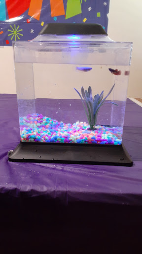 Pet Supply Store «Petco Animal Supplies», reviews and photos, 1201 E Washington Ave, Union Gap, WA 98903, USA