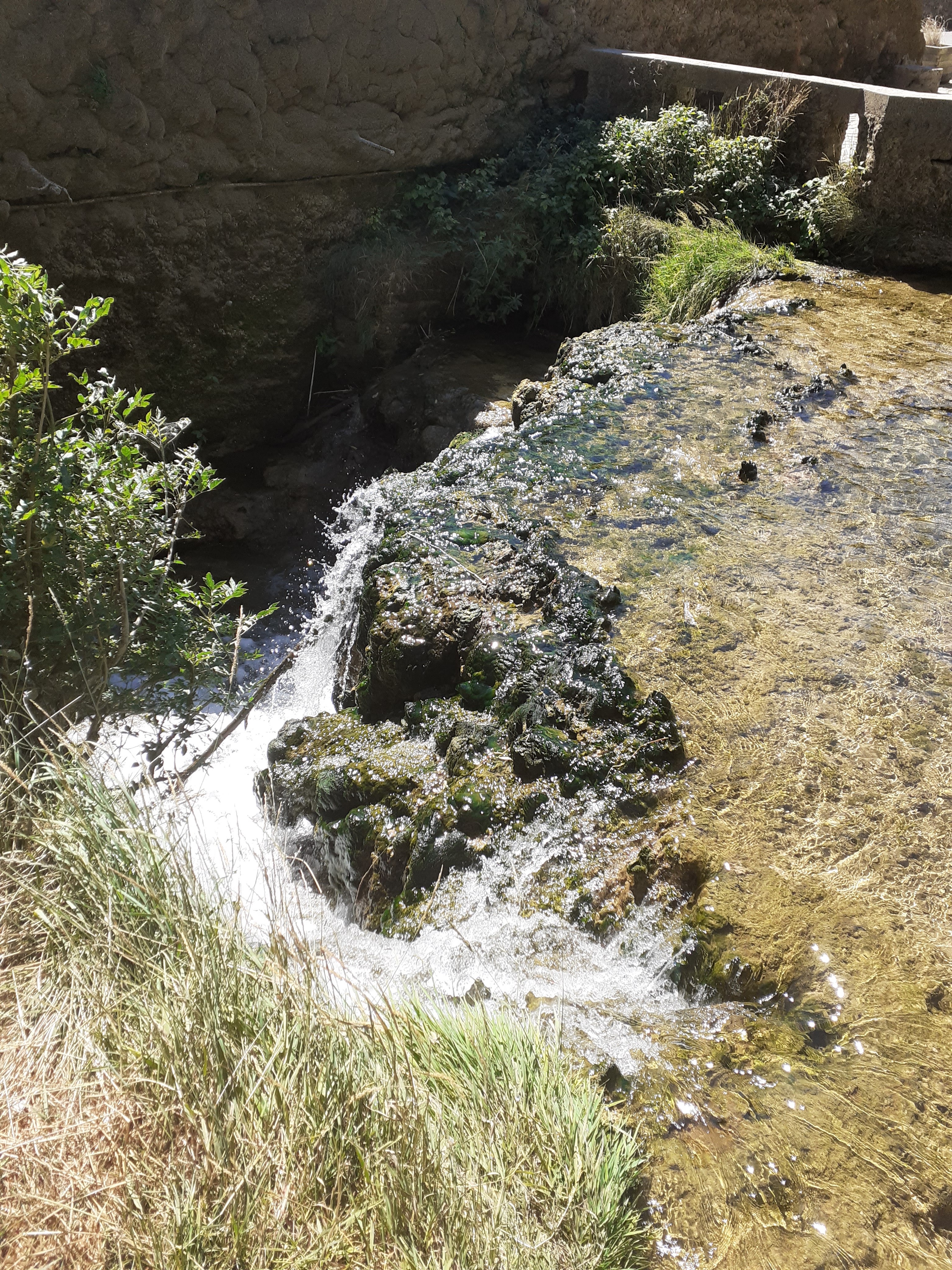 Photo n° 13 de l'avis de laurence.a fait le 19/07/2020 à 15:08