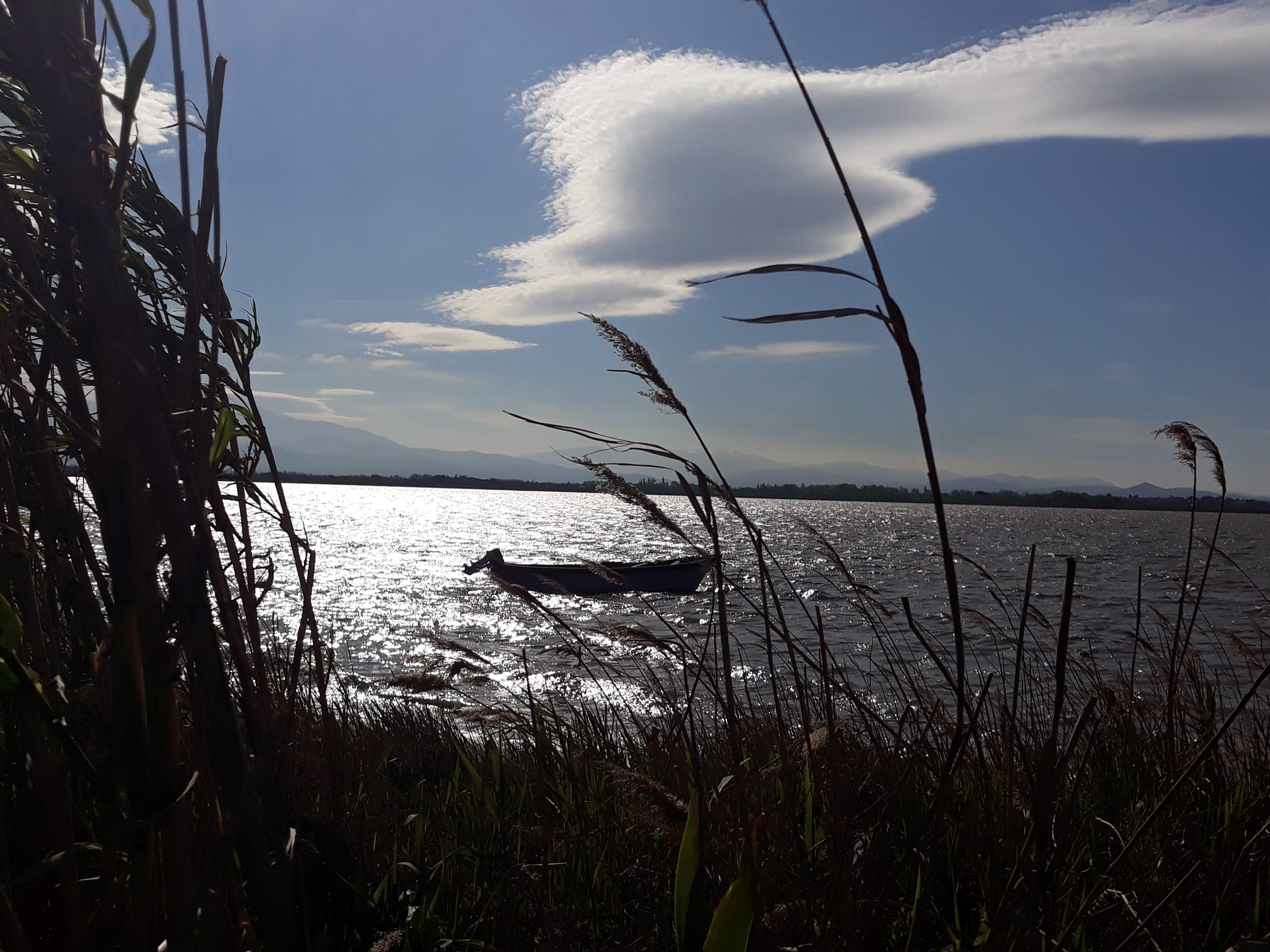Photo n° 4 de l'avis de Cathy.u fait le 13/04/2019 à 19:53