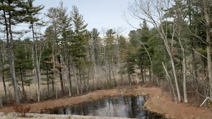 'The Wells' Conservation Land