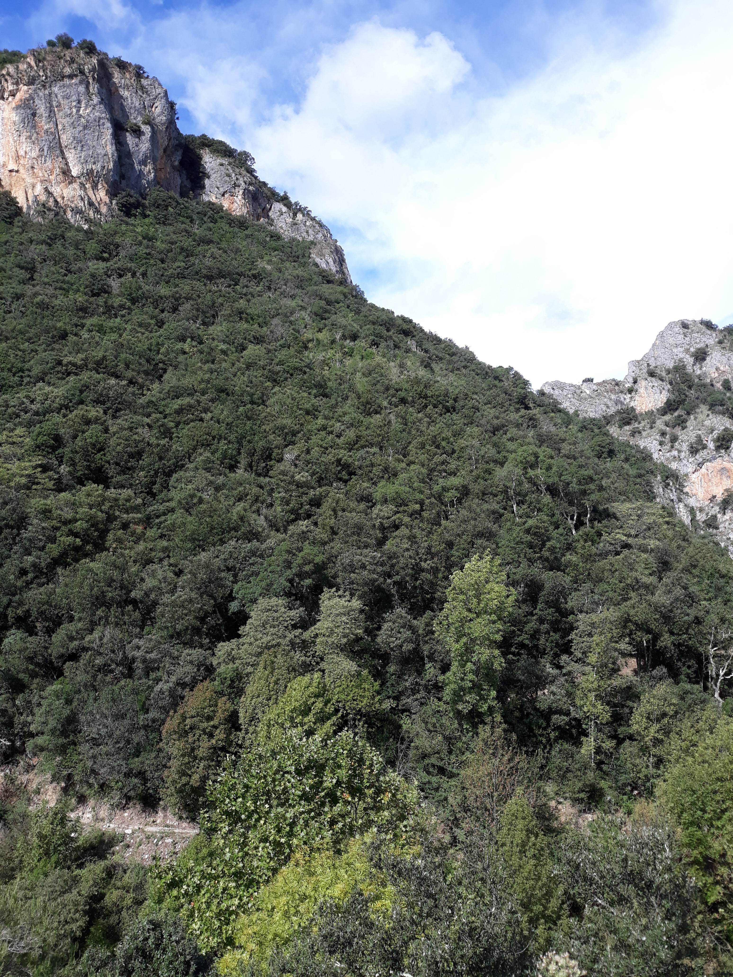 Photo n° 2 de l'avis de Mireille.A fait le 17/10/2018 à 11:31