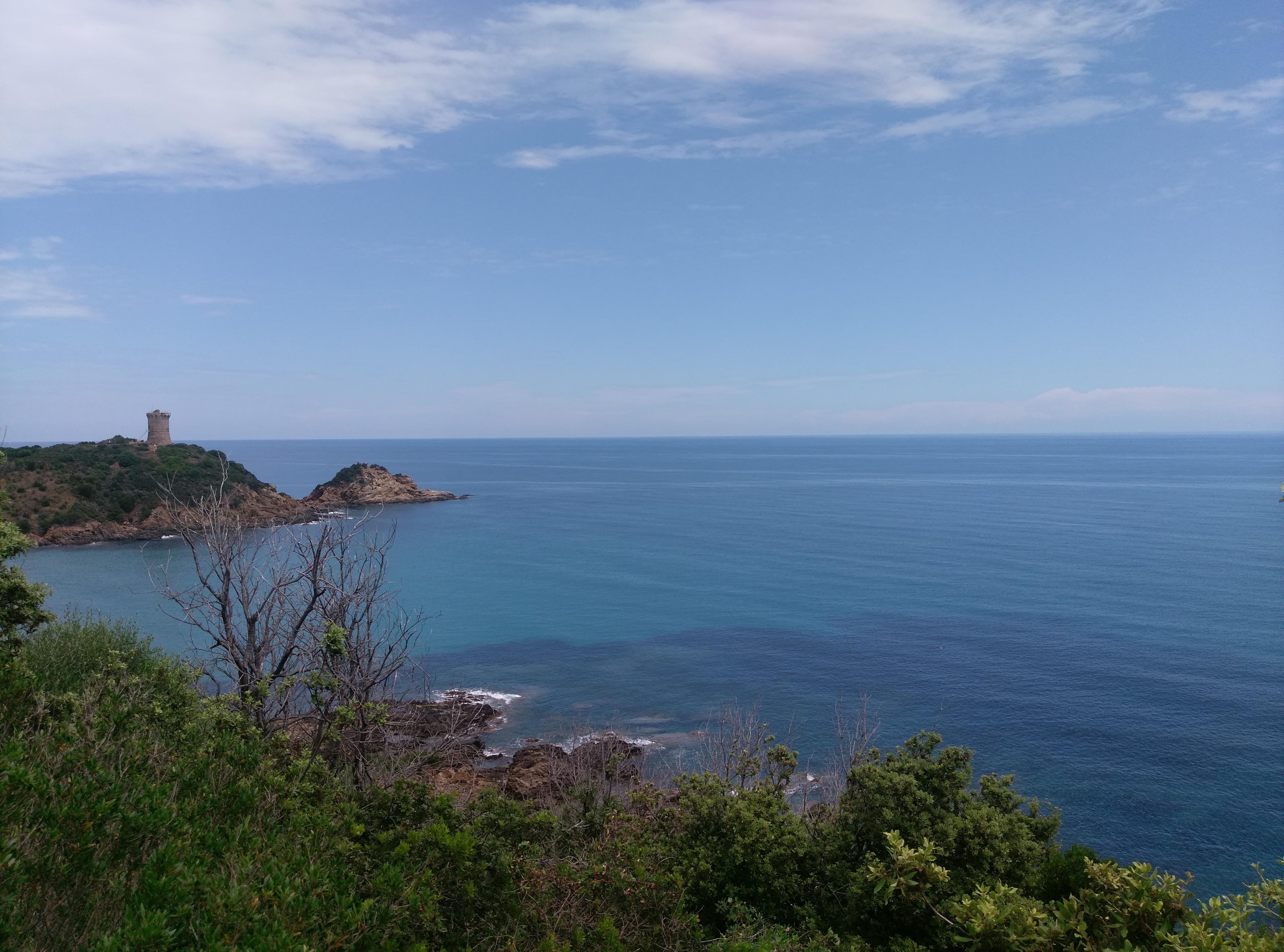 Photo n° 2 de l'avis de François.a fait le 29/06/2018 à 07:52
