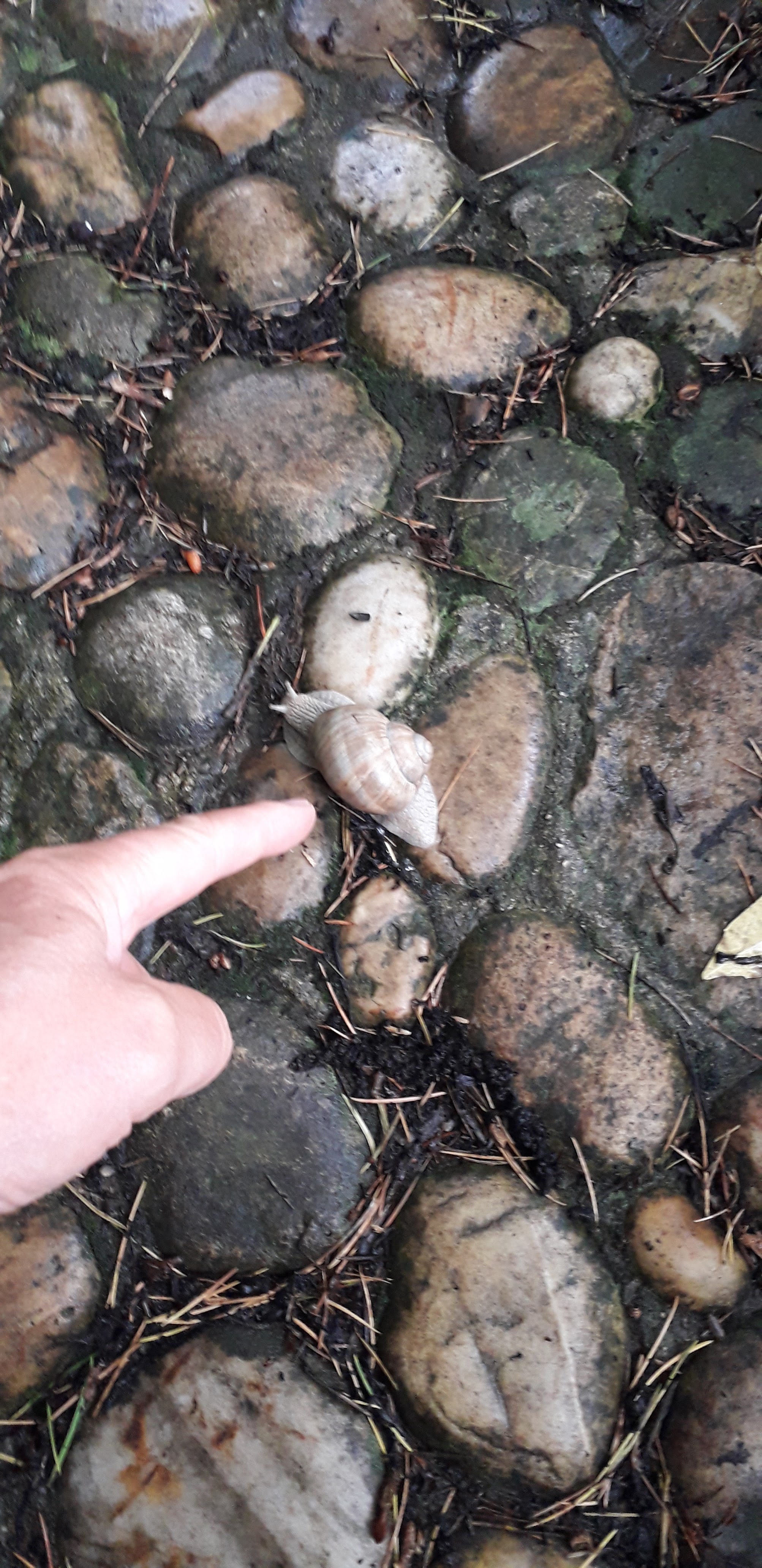 Photo n° 7 de l'avis de juan.e fait le 14/06/2019 à 10:45
