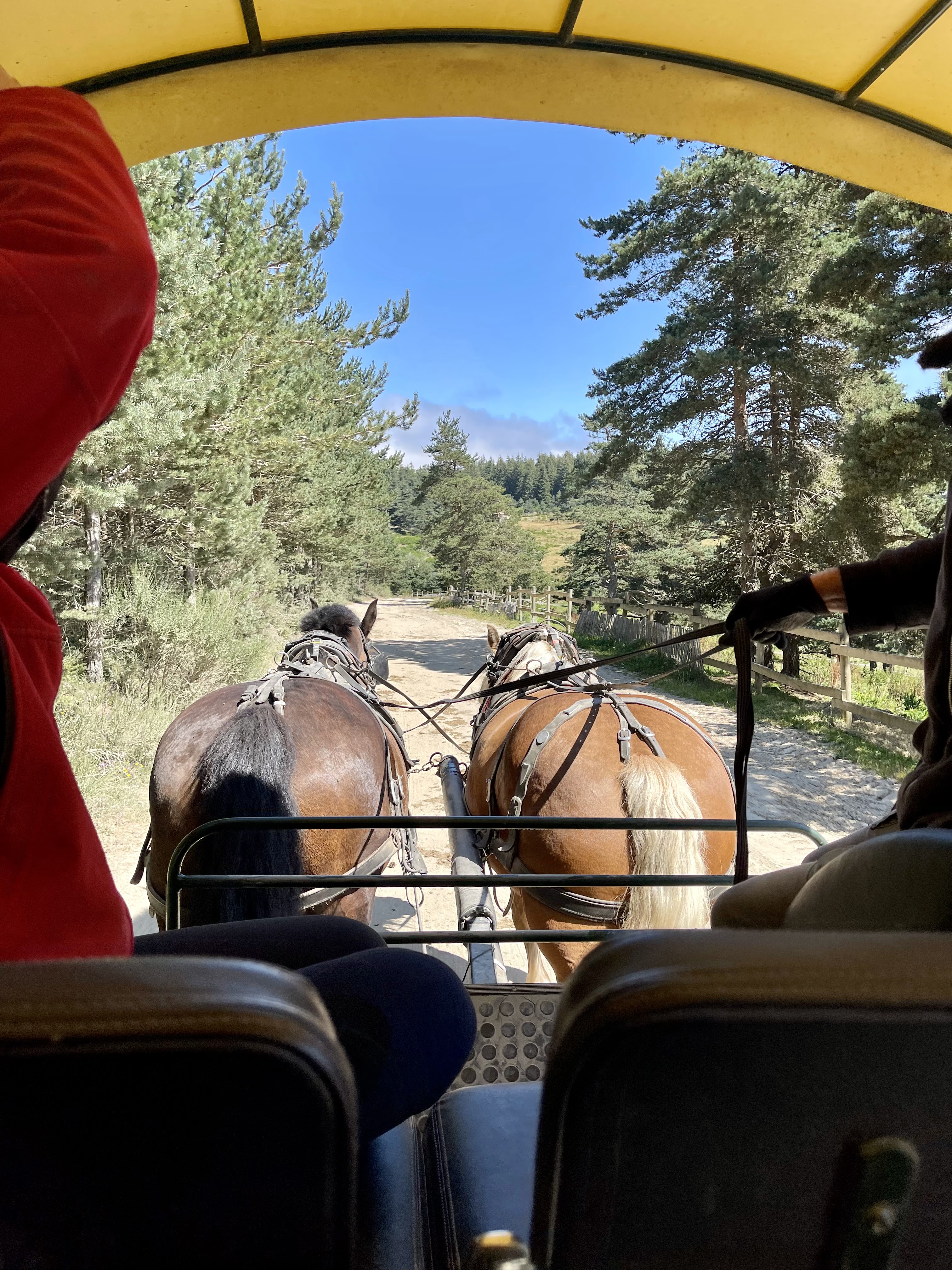 Photo n° 2 de l'avis de Karine.o fait le 30/08/2021 à 17:46