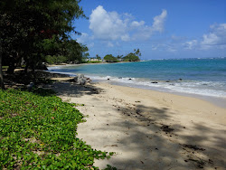 Kualoa Beach'in fotoğrafı çok temiz temizlik seviyesi ile