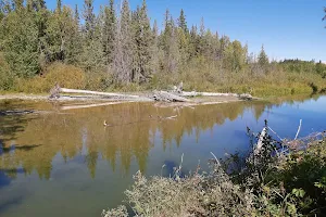 Fish Creek Provincial Park image