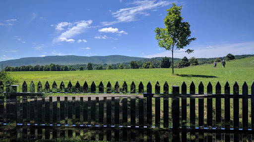 Art Center «Storm King Art Center», reviews and photos, 1 Museum Rd, New Windsor, NY 12553, USA
