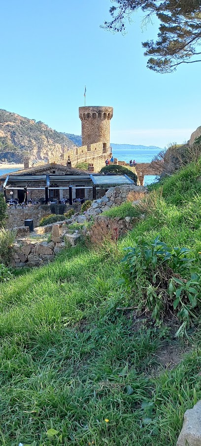 Garage Tossa - Carrer Torrent d,en Bou, 7, 17320 Tossa de Mar, Girona, Spain