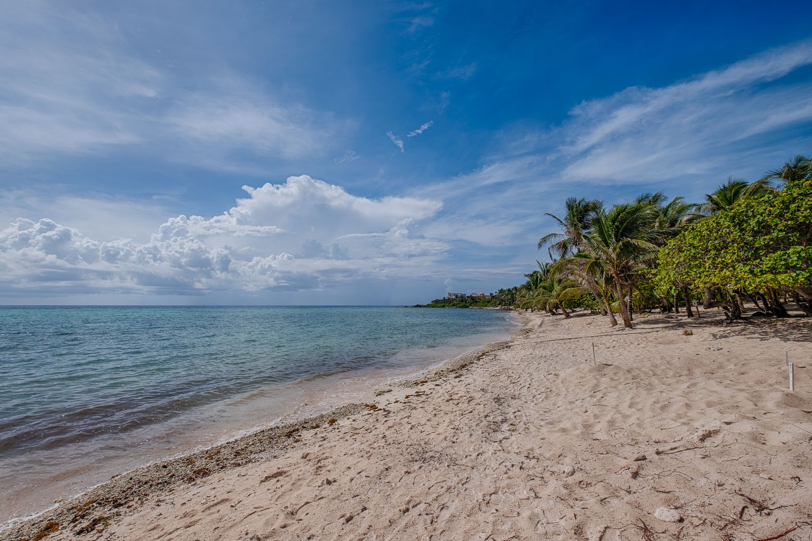 Foto di Playa Akumal II con una superficie del sabbia luminosa