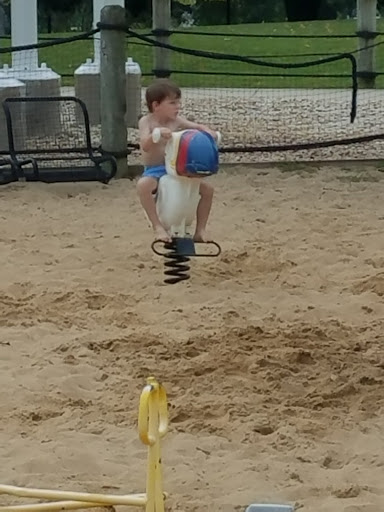 Water Park «Phillips Park Family Aquatic Center», reviews and photos, 828 Montgomery Rd, Aurora, IL 60505, USA