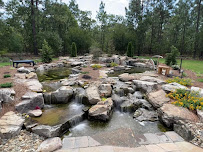 Proud Ponds - Photo 6 - Car repair in Wauconda, IL, Round Lake Beach