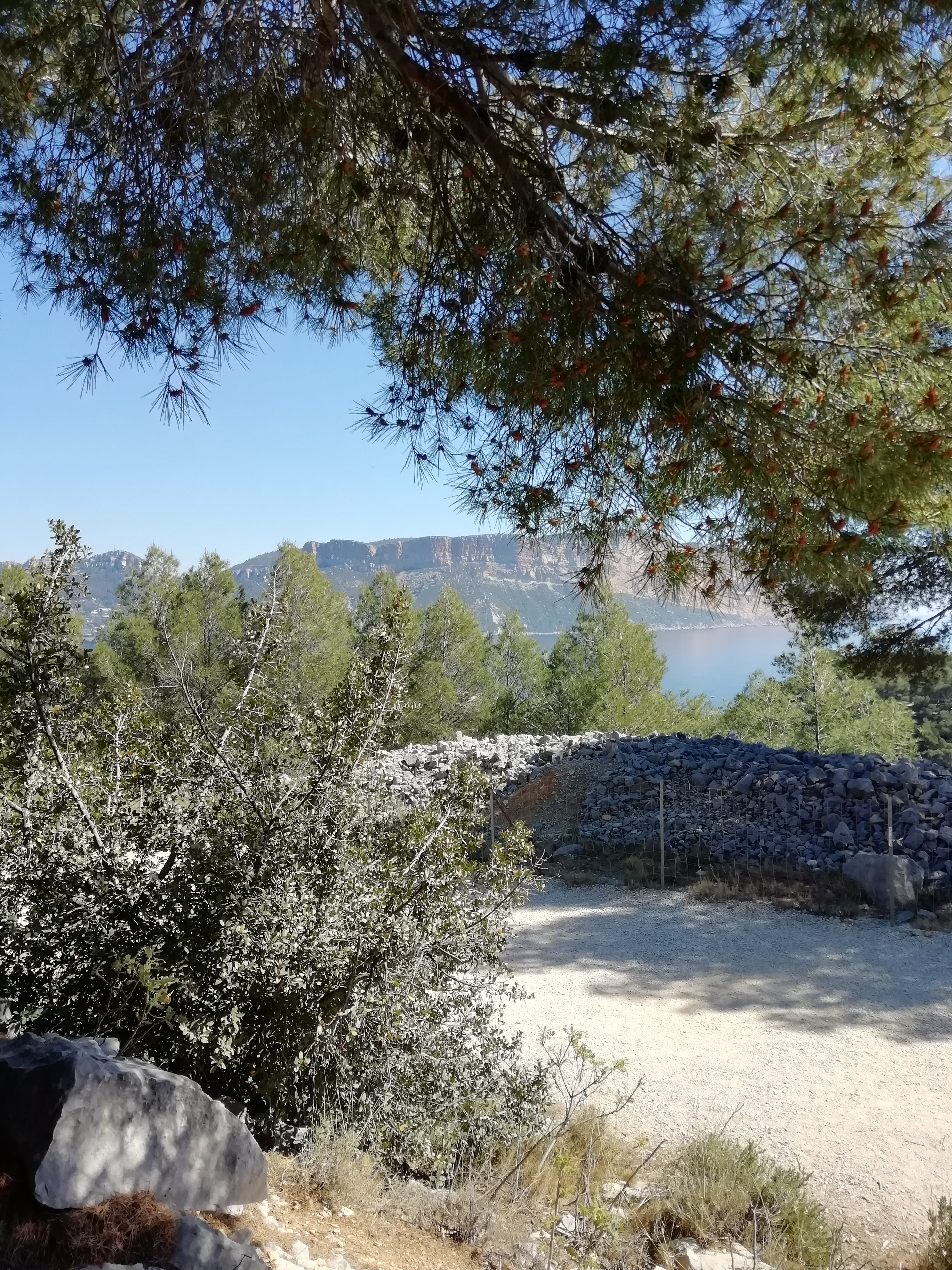 Photo n° 2 de l'avis de Sylvie.e fait le 28/03/2019 à 10:36