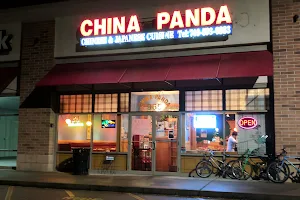 China Panda image