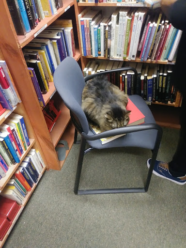 Used Book Store «Downtown Books Bought & Sold», reviews and photos, 624 N Broadway St, Milwaukee, WI 53212, USA