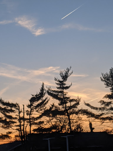 Supermarket «The Harrison Market», reviews and photos, 355 Halstead Ave, Harrison, NY 10528, USA