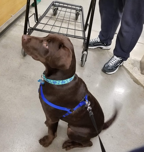 Pet Supply Store «Petco Animal Supplies», reviews and photos, 38069 Town Center Dr #222, Millville, DE 19967, USA