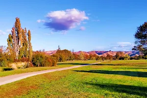 Taylor River Reserve image