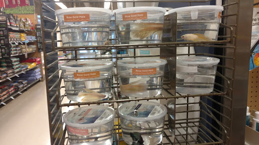 Pet Supply Store «Petco Animal Supplies», reviews and photos, 1121 5th St, Miami Beach, FL 33139, USA