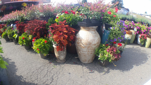 Produce Market «Tacoma Boys», reviews and photos, 5602 6th Ave, Tacoma, WA 98406, USA