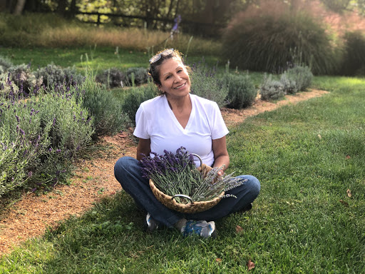Farm «Blooming Hill Lavender Farm», reviews and photos, 19929 Telegraph Springs Rd, Purcellville, VA 20132, USA
