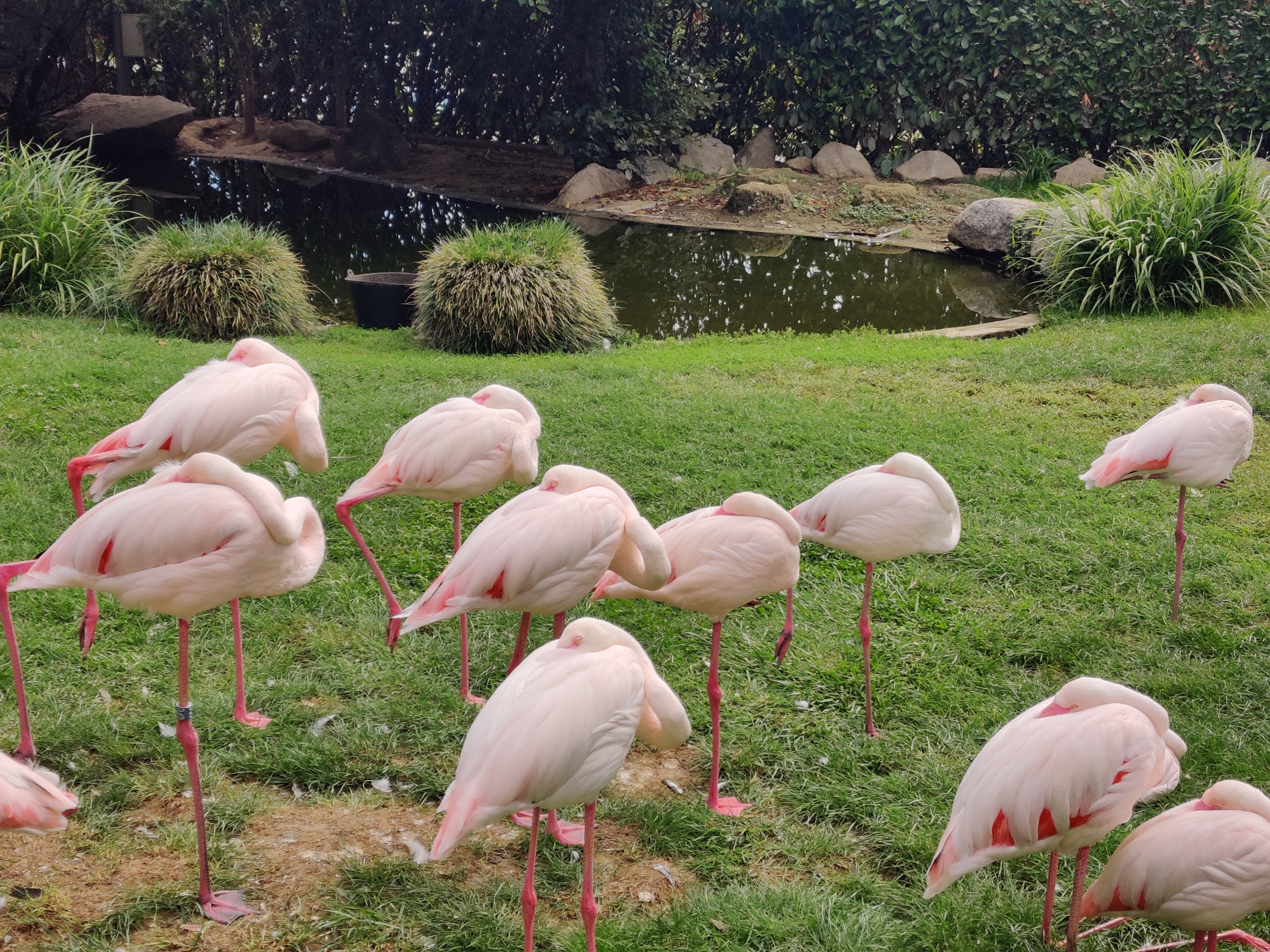 Photo n° 2 de l'avis de Carole. fait le 22/08/2022 à 21:38