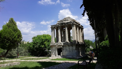 Aile Sağlığı Merkezi